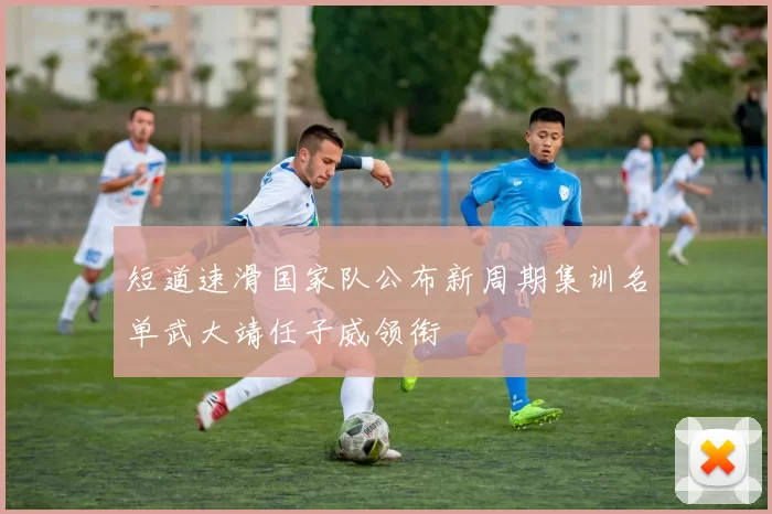 短道速滑国家队公布新周期集训名单武大靖任子威领衔