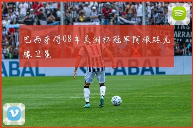 巴西夺得08年美洲杯冠军阿根廷无缘卫冕